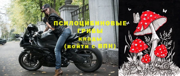 каннабис Гусев