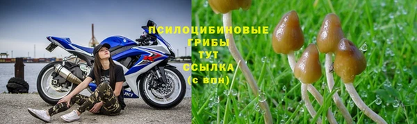 круглые Гусиноозёрск